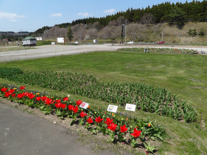 木古内・サラキ岬