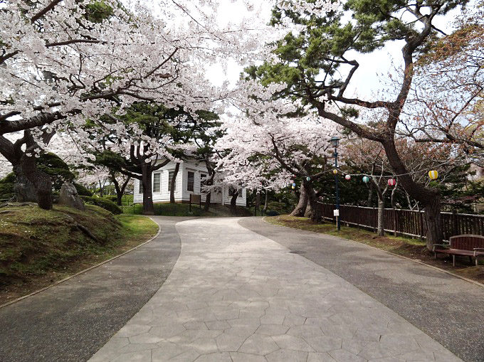 函館公園_08