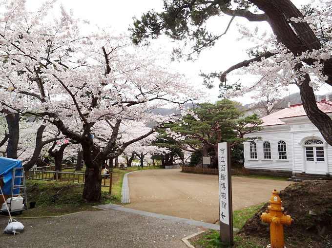 函館公園_09