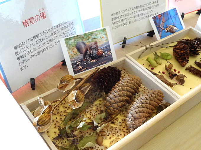 大沼国際セミナーハウス