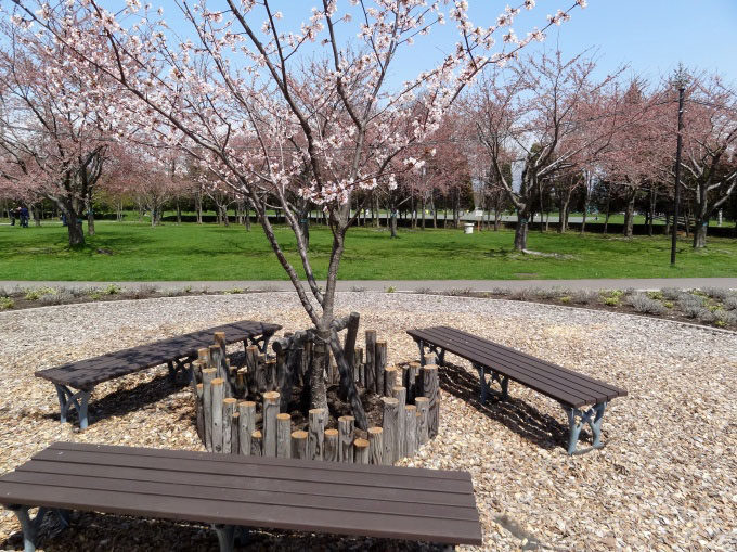 昭和公園