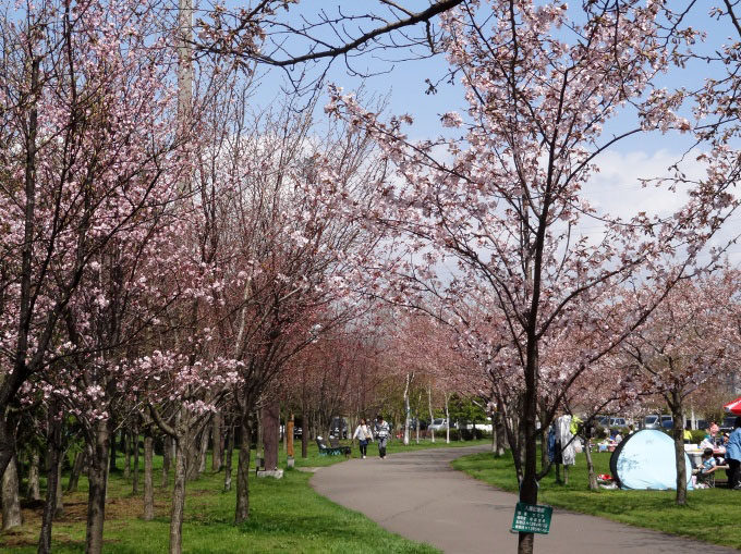 昭和公園