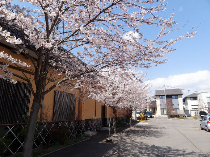 山の手温泉