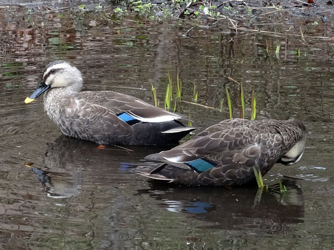 見晴公園_01