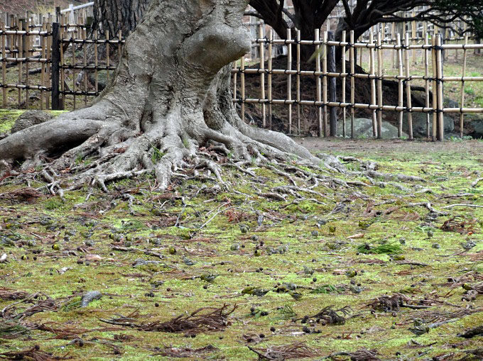 見晴公園_05