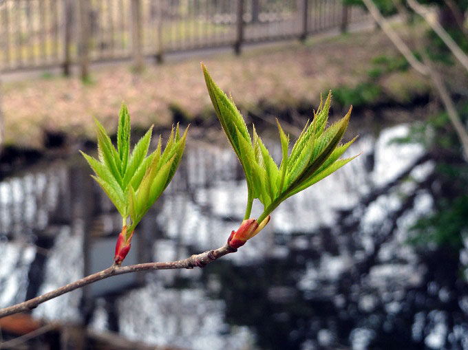 見晴公園_15
