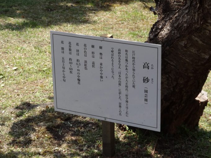 石崎地主海神社_12