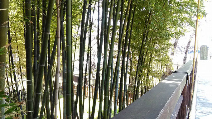 函館公園