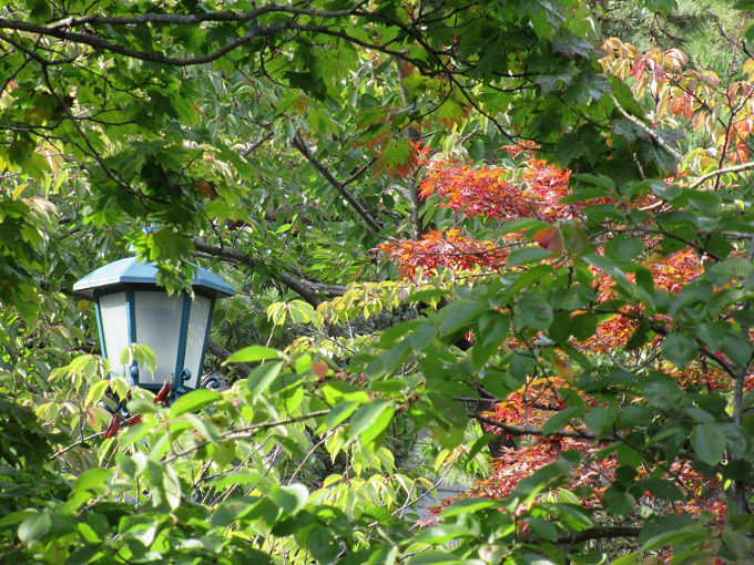 函館公園